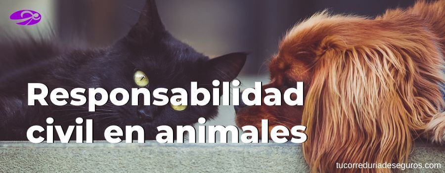 Responsabilidad Civil Mascotas Perro Animales