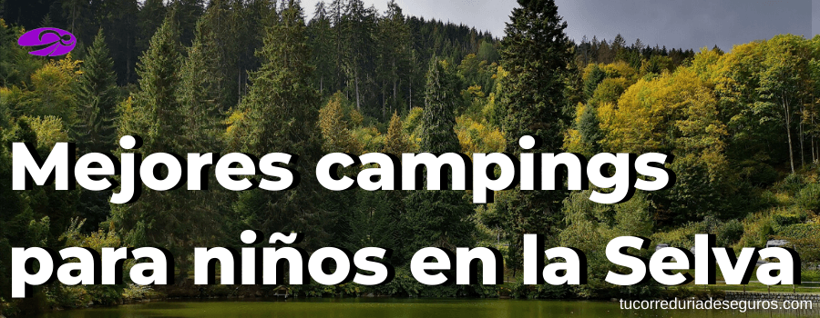 No Te Pierdas Los Mejores Campings Para Niños En La Selva Negra