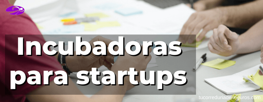 Qué Son Y Cómo Funcionan Las Incubadoras Para Startups