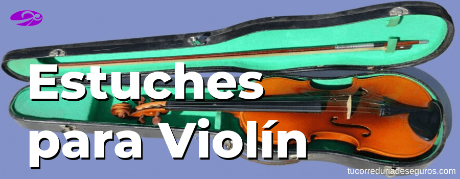Estuches Para Violin