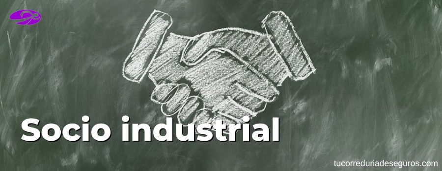 Socio Industrial En Una Empresa